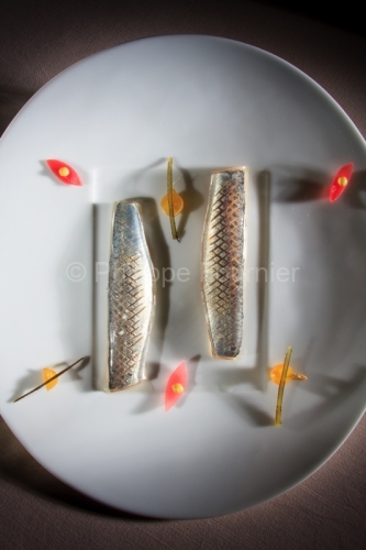IMG_48632_LOIRE (42) ROANNE SARDINES DE LAMPARO MARINEES UN PETI