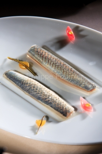 IMG_48638_LOIRE (42) ROANNE SARDINES DE LAMPARO MARINEES UN PETI