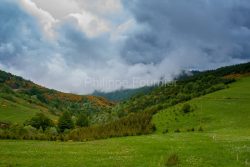 IMG_48911_Ardèche (07) Parc Naturel Régional Des Monts D'ardè