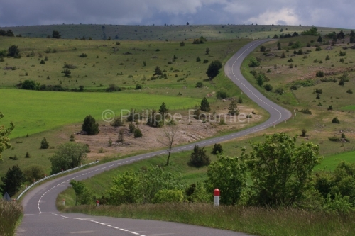 IMG_48924_LOZERE (48) LE PONT DE MONTVERT PARC NATIONAL DES CEVE