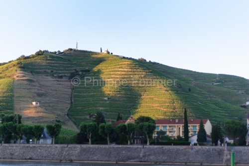IMG_52599_DROME (26) TAIN L'HERMITAGE le RHôNE LE VIGNOBLE DE L