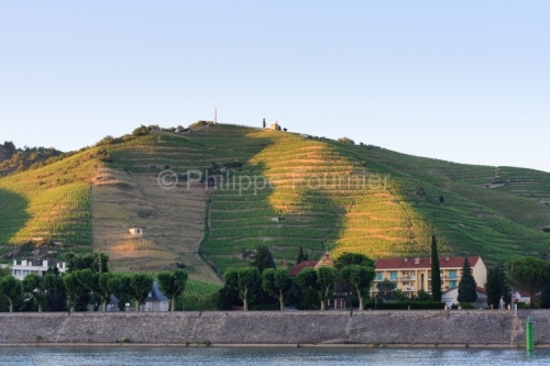 IMG_53056_DROME (26) TAIN L'HERMITAGE le RHôNE LE VIGNOBLE DE L
