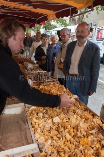IMG_59374_Drôme (26) nyons Jour de Marché CHAMPIGNONS, Girolle