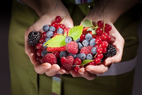 IMG_63206_ARDECHE (07) STUDIO MAINS ET FRUITS ROUGES FRAMBOISE,