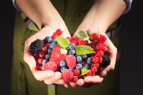 IMG_63246_ARDECHE (07) STUDIO MAINS ET FRUITS ROUGES FRAMBOISE,