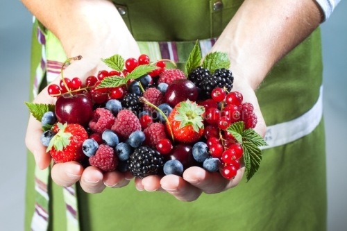 IMG_1751_ARDECHE (07) STUDIO MAINS ET FRUITS ROUGES FRAMBOISE, G