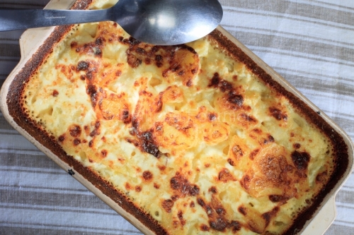 IMG_94668_Ardeche (07) Aubenas Gastronomie gratin dauphinois la
