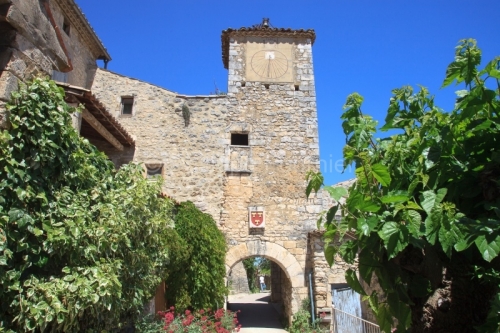 IMG_0092_ARDECHE (07) LAGORCE SENTIER BOTANIQUE PLACE DE LA DîM
