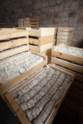 IMG_109606_ARDECHE (07) PLANZOLLES FROMAGERIE PEYTOT CAVE D'AFFI