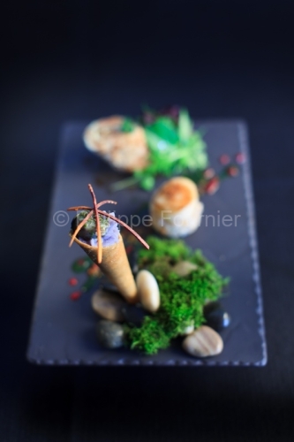 IMG_109787_ARDECHE (07) SAINT GERMAIN AUBERGE DE MONTFLEUR Y L