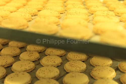 IMG_1189_ARDECHE (07) LE TEIL TOUT JUSTE SORTI DU FOUR MACARONS