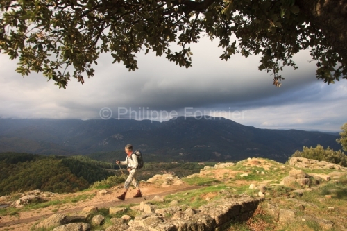 IMG_1210060_ARDECHE (07) SANILHAC (PARC NATUREL REGIONAL DES MON