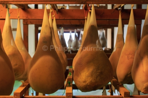 IMG_12120564_CLAIE DE SECHAGE JAMBON CRU BOUCHERIE CHARCUTERIE M