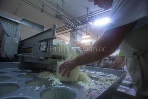 IMG_13024190_ARDECHE (07) COUCOURON FROMAGERIE DE COUCOURON LAIT