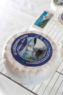 IMG_13024318_ARDECHE (07) COUCOURON FROMAGERIE DE COUCOURON FROM