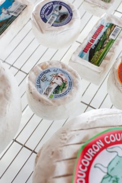 IMG_13024319_ARDECHE (07) COUCOURON FROMAGERIE DE COUCOURON FROM