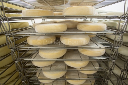 IMG_13035102_ARDECHE (07) COUCOURON FROMAGERIE DU PLATEAU ARDECH