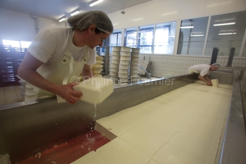 IMG_13035146-DECOUPE_ARDECHE (07) COUCOURON FROMAGERIE DU PLATEA