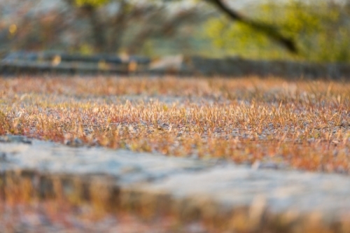 IMG_13046677_Ardèche (07) Patrimoine Alba la Romaine AIRE A POR