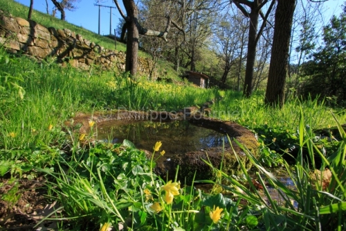 IMG_13046846_Ardeche (07) ailhon village de caractere le jardin
