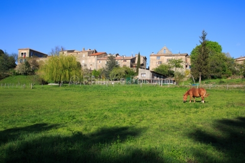 IMG_13046855_Ardeche (07) ailhon village de caractere moutons en