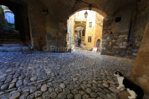 IMG_13057039_Ardeche (07) saint montan ruelles voutées, un chat