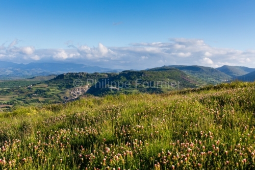 IMG_13057476_ardèche (07) mirabel panorama sur le massif du coi