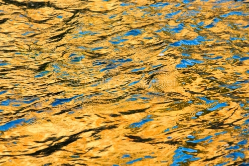 IMG_13060960_ARDECHE (07) VALLON PONT D'ARC RESERVE NATURELLE DE