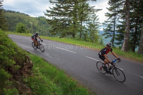 IMG_13062416_ D237 ROUTE DU MONT GERBIER DE JONC L'ARDECHOISE CY