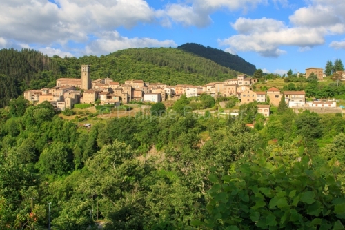 IMG_130630816_ARDECHE (07) ANTRAIGUES SUR VOLANE VILLAGE DE CARA