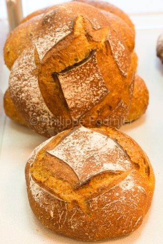 IMG_13072008_ARDECHE (07) ALBA LA ROMAINE BOULANGERIE LE FORUM D