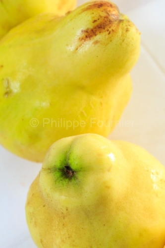 IMG_13102419_Ardèche (07) Aubenas Gastronomie Fruits d'automne