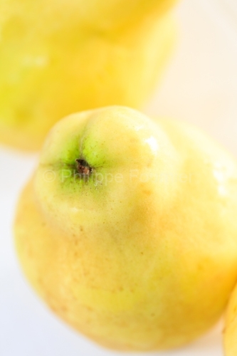IMG_13102423_Ardèche (07) Aubenas Gastronomie Fruits d'automne