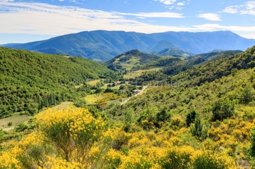 IMG_14066393_drome (26) le barret de lioure (parc naturel region