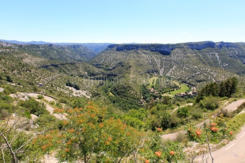 IMG_14077610_HERAULT (34) SAINT MAURICE NAVACELLES CIRQUE DE NAV