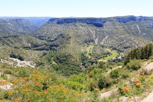 IMG_14077613_HERAULT (34) SAINT MAURICE NAVACELLES CIRQUE DE NAV