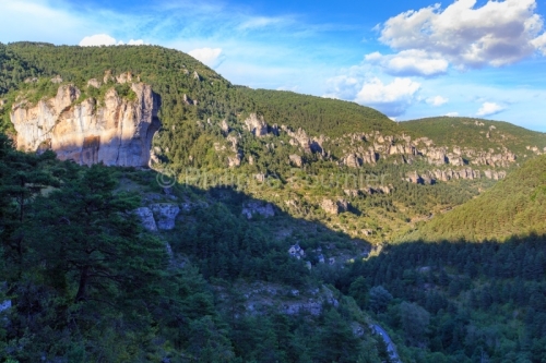 IMG_14077697_Lozère (48) Saint Pierre des Tripiers Gorges de la