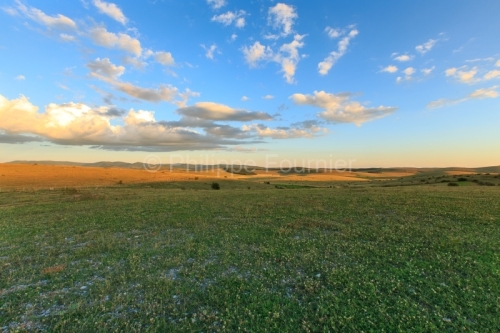 IMG_14077779_Lozère (48) Drigas Parc National des Cévennes Cum