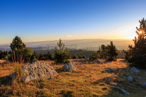 IMG_14077823_Lozère (48) Mont Aigoual Parc National des Cévennes PANORAMA