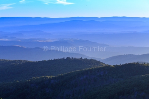 IMG_14077832_Lozère (48) Mont Aigoual Parc National des Cévenn