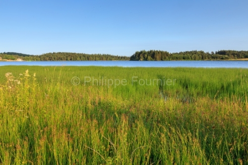 IMG_15070445_ARDECHE (07) Saint Agreve Parc Naturel Régional de