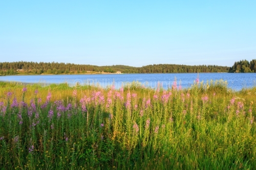 IMG_15070455_ARDECHE (07) Saint Agreve Parc Naturel Régional de