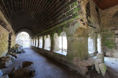 IMG_15070856_Ardèche (07) Mazan L'Abbaye patrimoine  le cloitre