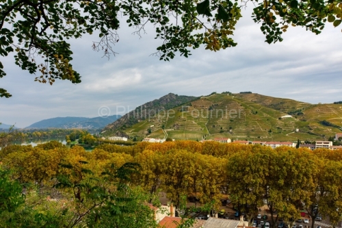 IMG_15104714_DROME (26) TAIN L'HERMITAGE PAYSAGE VINS DES CôTES