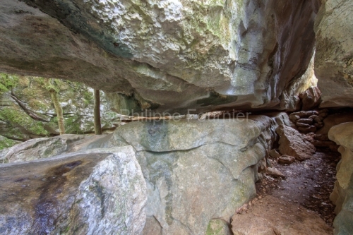 IMG_15030227_ARDECHE (07) LES VANS BOIS DE PAIOLIVE SENTIER DE L