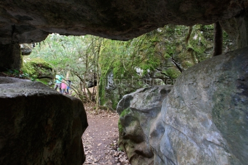 IMG_15030235_ARDECHE (07) LES VANS BOIS DE PAIOLIVE SENTIER DE L