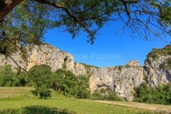 IMG_16052636_Ardèche (07) vallon pont d'arc réserve naturelle