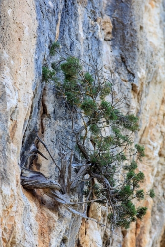IMG_16053917_ardèche (07) saint remeze réserve naturelle des g