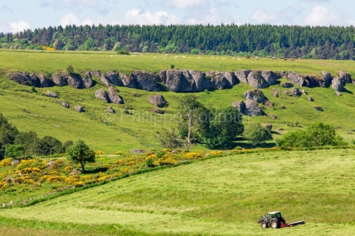 IMG_16064705_ARDèCHE (07) LE BEAGE PARC NATUREL RéGIONAL DES M