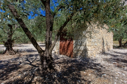 IMG_16075307_drome (26) buis les baronnies (parc naturel regiona